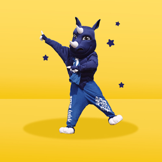 Mascotte sur mesure